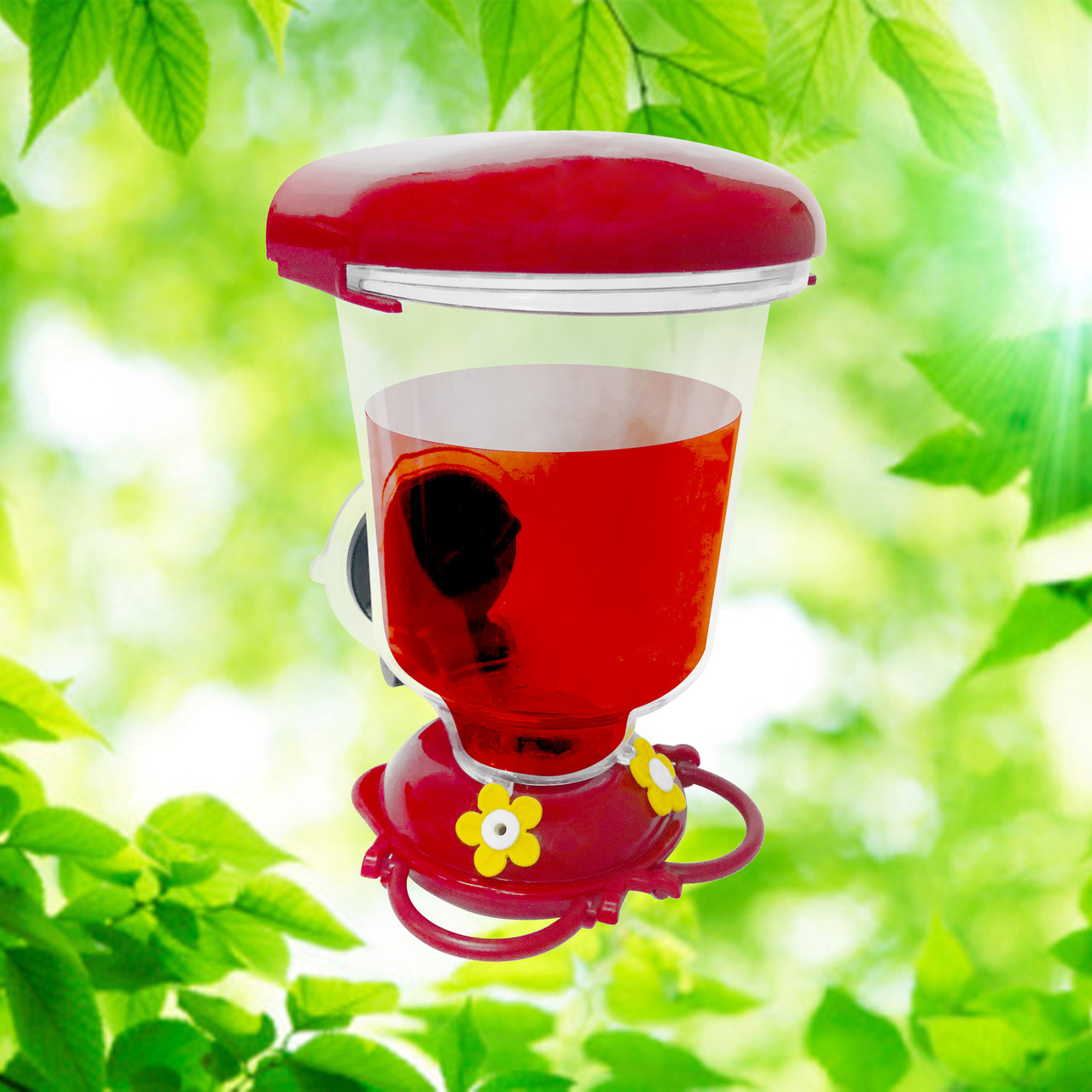 🔥Last Day 70% OFF🔥Geometric Window Hummingbird Feeder🐦