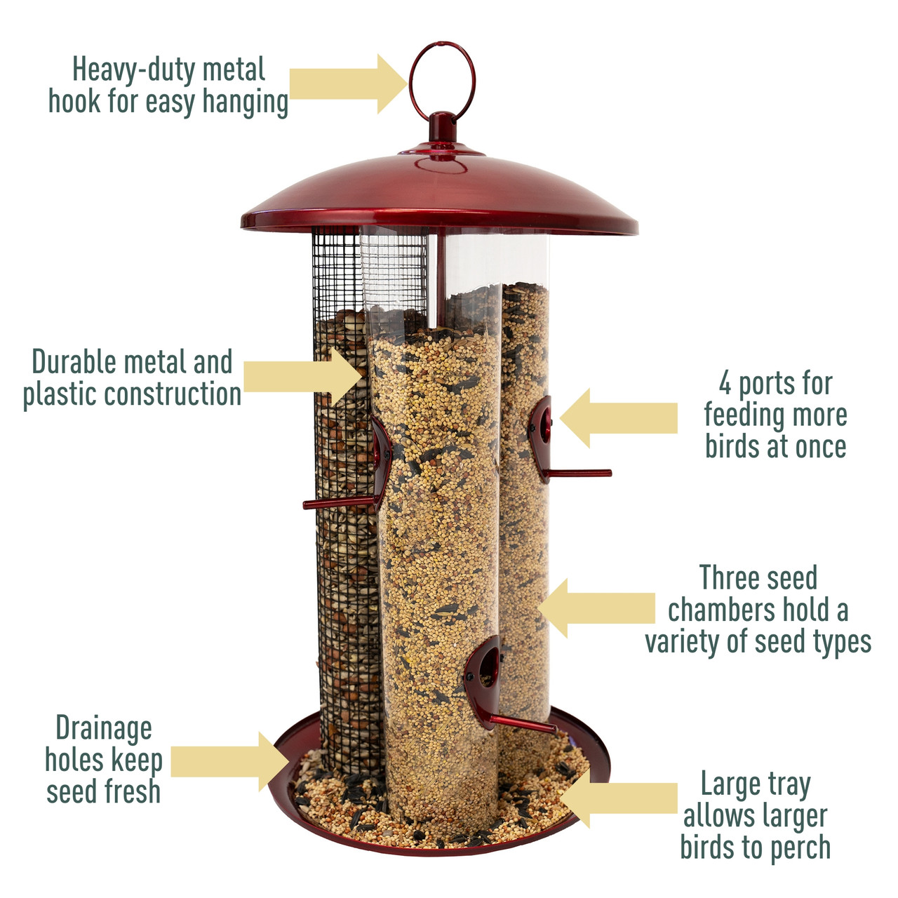 Does a Bird Feeder Need a Perch? Essential Tips Revealed