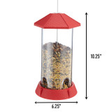 Red Gazebo birdfeeder dimensins: 10.25" tall, 6.25" wide