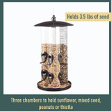 Triple Tube Feeder