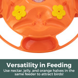 Hanging Tray Oriole Feeder: Versatility in feeding - use nectar, jelly, and orange halves in the same feeder to attract birds!