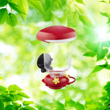 Window-Mount 20 oz. Hummingbird Feeder