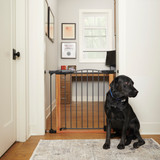Deco WoodCraft Steel Gate with Auto Close