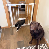 Wide Walk Thru EasyPass Pet Gate