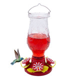 In Bloom Glass 32 Oz. Hummingbird Feeder