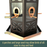 6 perches and large seed tray allow birds of all sizes to stop and feed