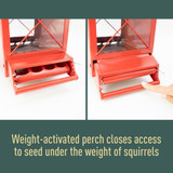 Weight-activated perch closes access to seed under the weight of squirrels