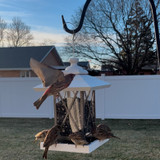 North States Nature's Yard Artisan Lantern Feeder