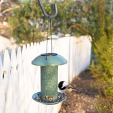 North States Nature's Yard Sage Solar Lantern BirdFeeder