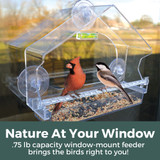  Clear Choice House Window Birdfeeder: Nature at your window - .75 lb capacity window-mount feeder brings the birds right to you!