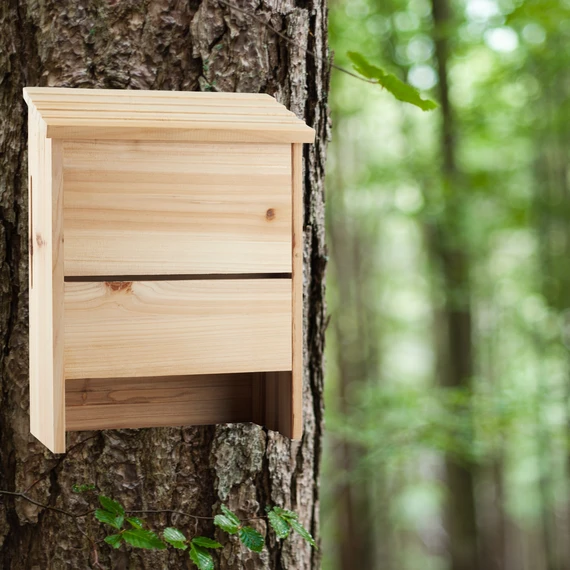 Bat House