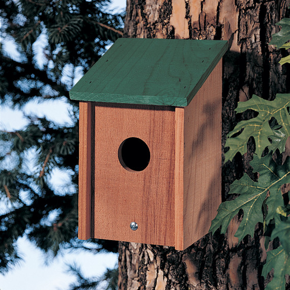 Green Roof Bird Post House