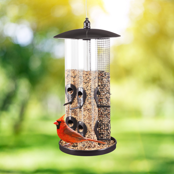 Triple Tube Feeder