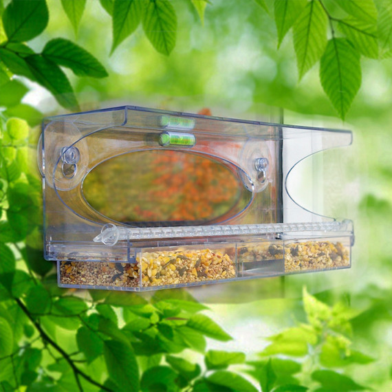 Large Clear Choice Window Feeder