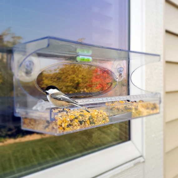 Large Clear Choice Window Feeder