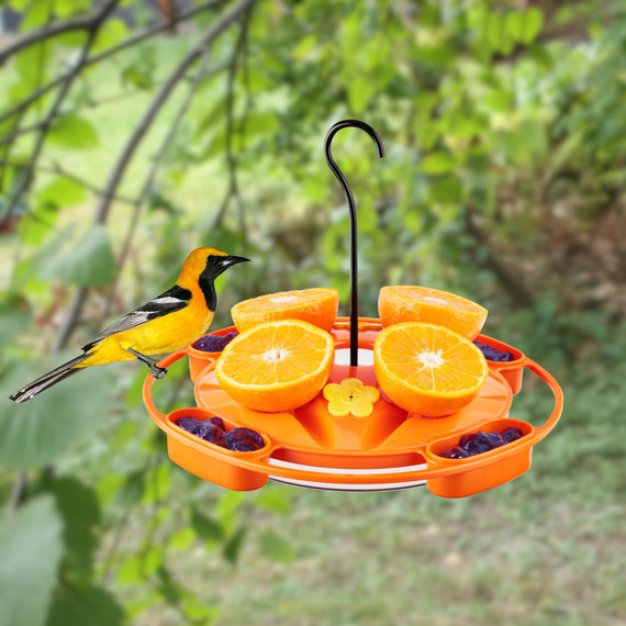 Hanging Tray Oriole Feeder