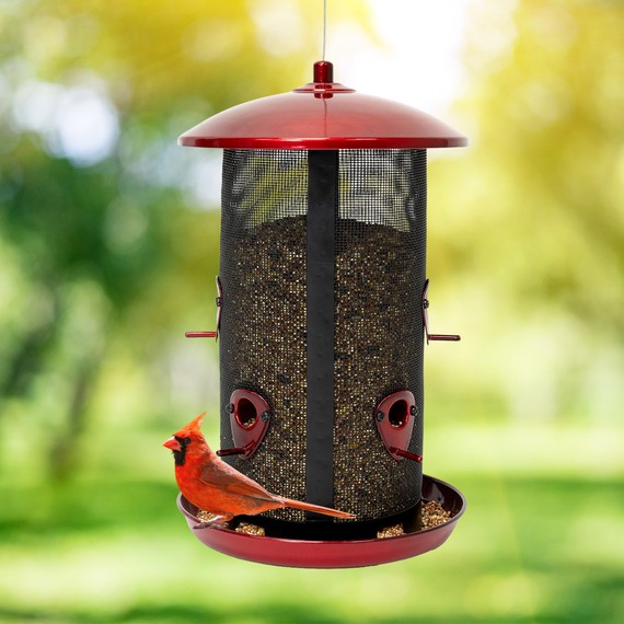  Crimson Extra-Large Twin Feeder