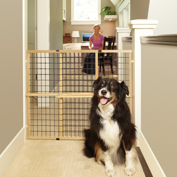 Extra-Wide Wire Mesh Petgate