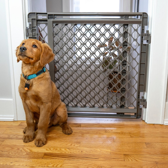 North States MyPet Extra Tall & Wide Walk Thru EasyPass Pet Gate®