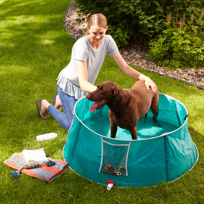 48" Pet Bath/Splash Pool Dog Bath