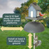 Two-Way Squirrel Baffle: Use 8-10 feet away from tree trunks or other platforms. Install at least 5 feet above the ground.