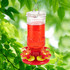 Stargazer Glass Hummingbird Feeder