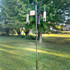 Ultimate Birdfeeding Station