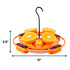 Hanging Tray Oriole Feeder: Dimensions - 2.5" tall, 11" wide. 