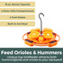 Hanging Tray Oriole Feeder: Feed Orioles & Hummers - unique tray birdfeeder attracts both hummingbirds and orioles to your backyard. 16 oz. nectar capacity, 4 outer jelly compartments, 4 fruit stakes, built-in ant moat. 