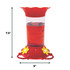 Petit Fleur 22 oz. Hummingbird Feeder: Dimensions - 7.5" tall, 6" wide.