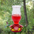 In Bloom Glass 32 Oz. Hummingbird Feeder