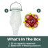 In Bloom Glass 32 Oz. Hummingbird Feeder: What's in the box - 1. 32 oz. capacity reservoir, 2. Base with 4 feeding stations.