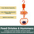 Vertical Oriole Feeding Station : Feed Orioles & Hummers - unique vertical feeder attracts both hummingbirds and orioles to your backyard. 8 oz. nectar capacity, 4 oz. jelly or mealworm capacity, built-in ant moat.