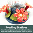 Starburst 26 oz. Hummingbird Feeder: Feeding Stations - four feeding stations with vibrant yellow and red flowers allow more birds to perch.