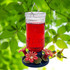 Starburst 26 oz. Hummingbird Feeder