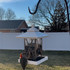 North States Nature's Yard Artisan Lantern Feeder
