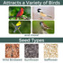 Antique Store Birdfeeder: Attracts a variety of birds (images of bird varieties). Seed types: wild birdseed, sunflower, safflower.