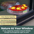 Sunny Petals 13 oz. Window-Mount Hummingbird Feeder: Nature at your window - 13 oz. capacity window-mount feeder bring hummingbirds right to you! 13 oz. nectar capacity, easy nectar monitoring, durable & ant-resistant.