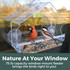  Clear Choice House Window Birdfeeder: Nature at your window - .75 lb capacity window-mount feeder brings the birds right to you!