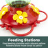 Emerald Blossom 20 oz. Hummingbird Feeder: Feeding Stations - five feeding stations with vibrant yellow flowers allow more birds to perch.