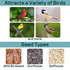 North States Garden Pavilion Birdfeeder Vallarta Blue: Attracts a variety of birds and seed types (wild birdseed, sunflower, safflower).
