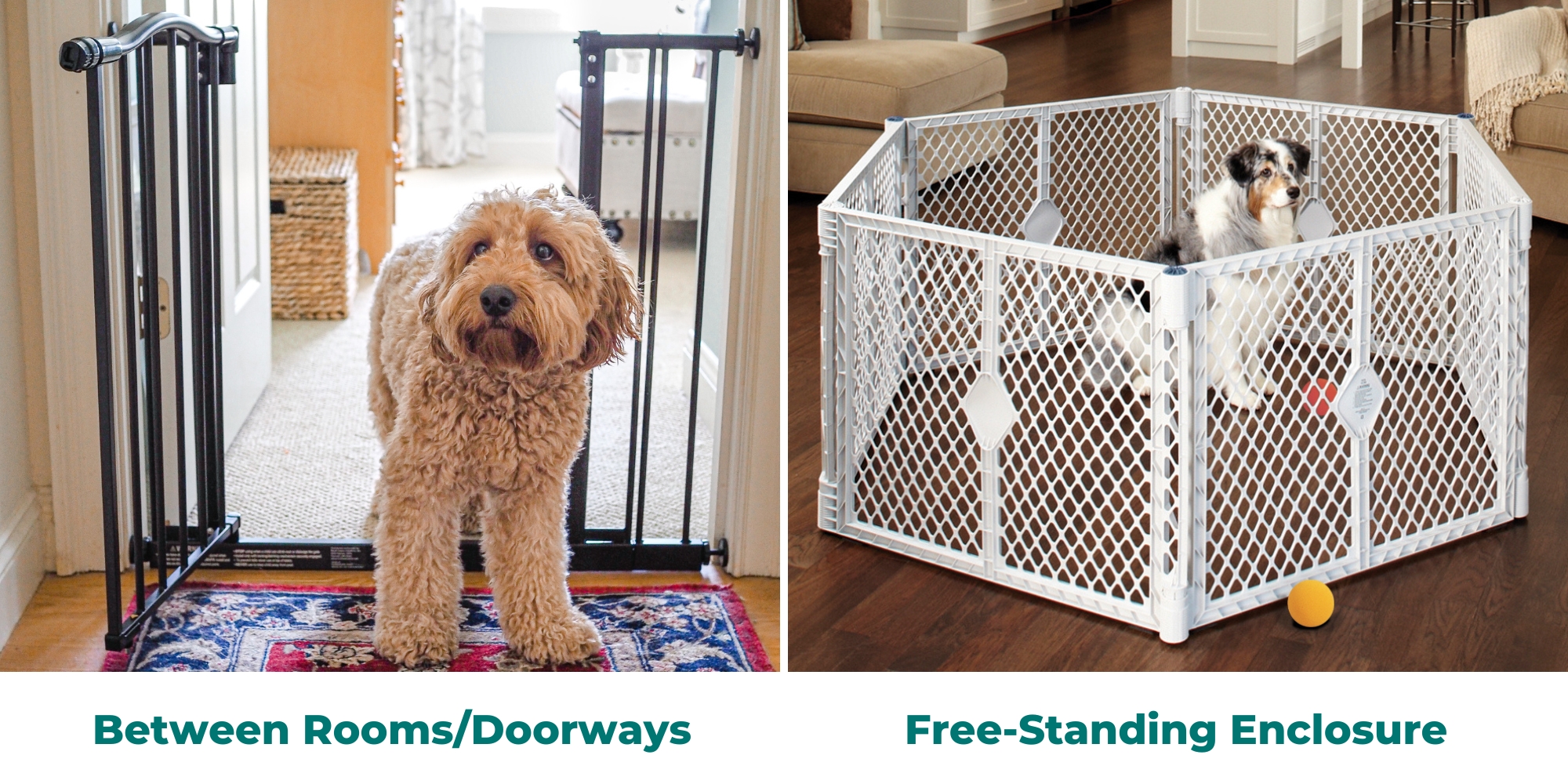 Photo of a dog in a doorway with a black gate on the left, and a photo of a dog sitting in a petyard on the right