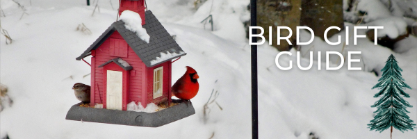 Bird Gift Guide