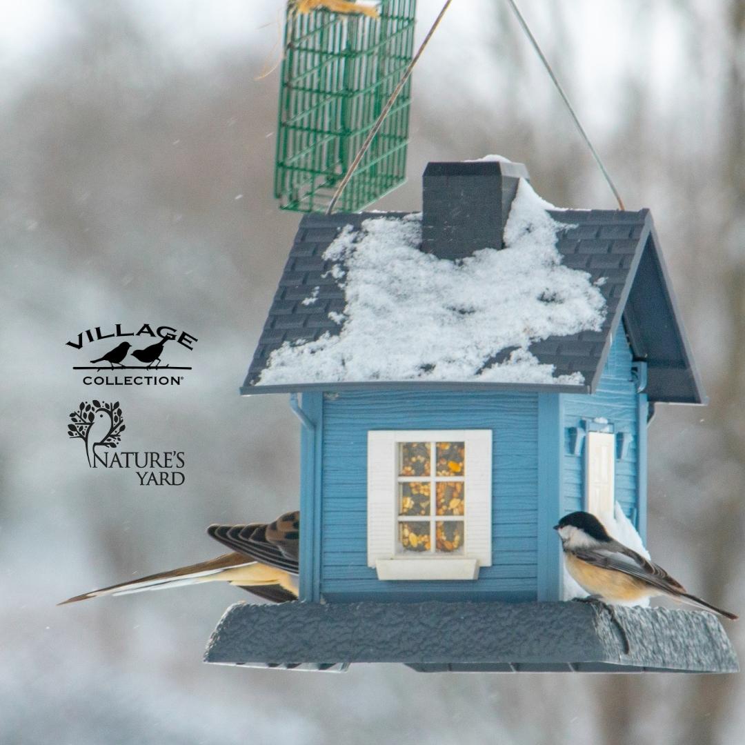 Birds eating seeds from a Blue Cottage Birdfeeder