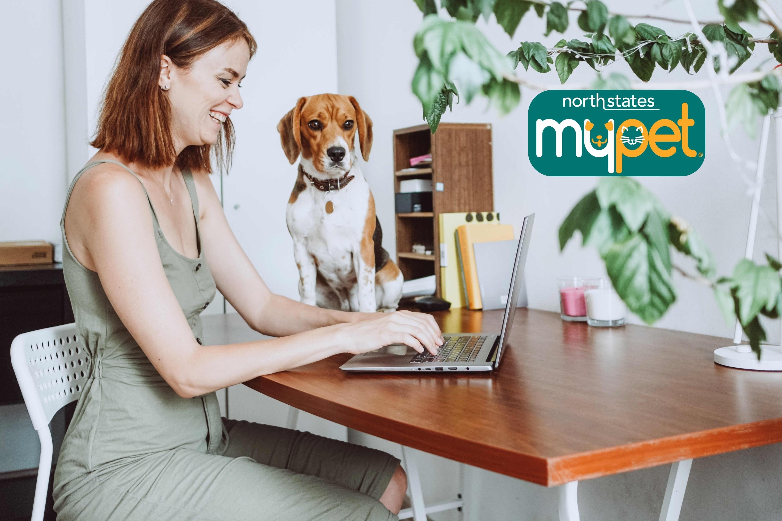 Woman smiling while typing on a laptop while her dog sits on the table behind her