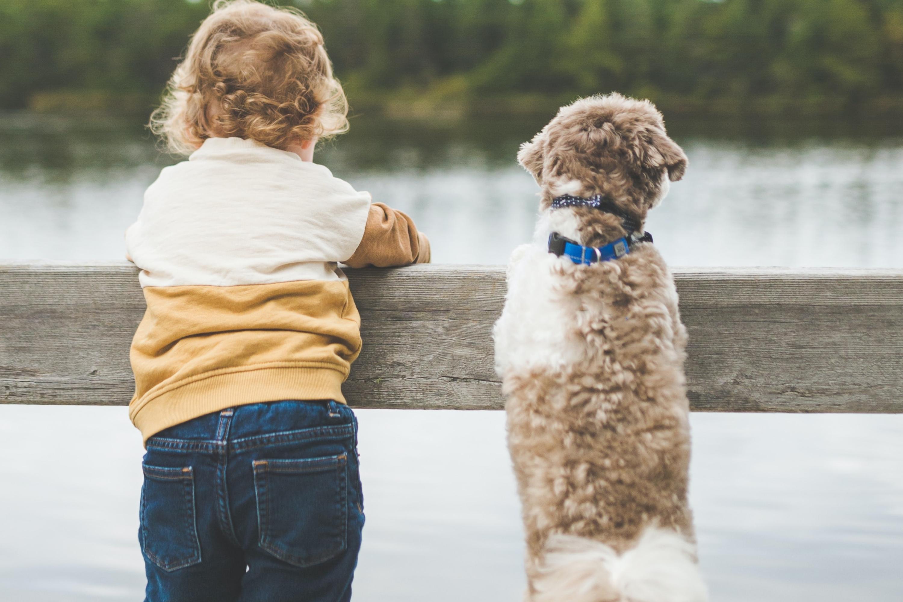 toddler and small dog looking out at a lake