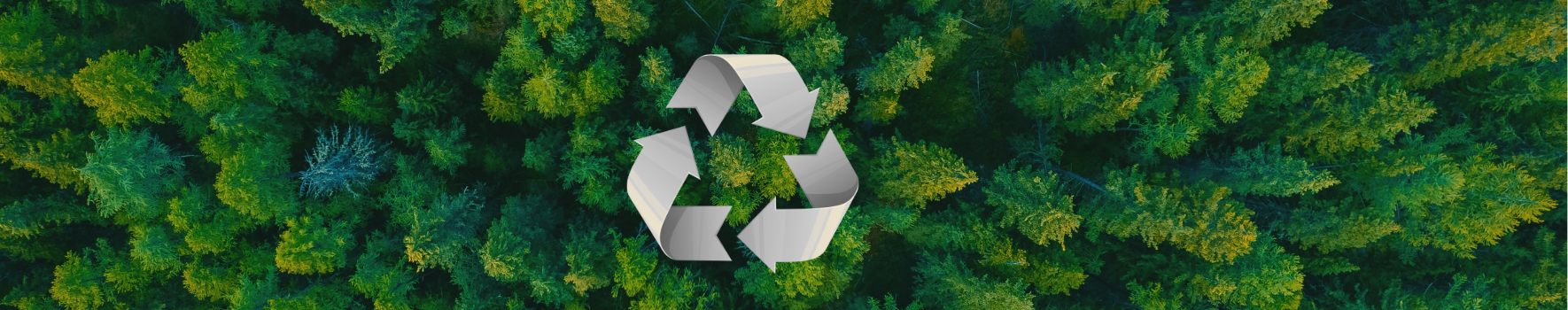 Forest of green trees with recycle logo