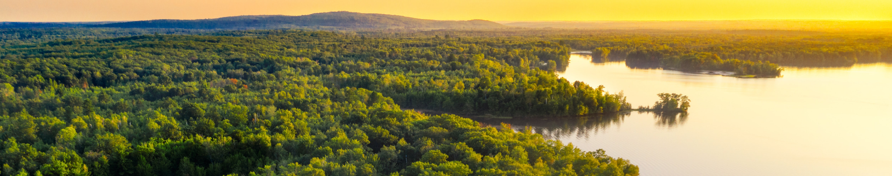 Sunset over a forest and lake