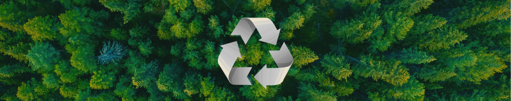 Forest of green trees with recycle logo