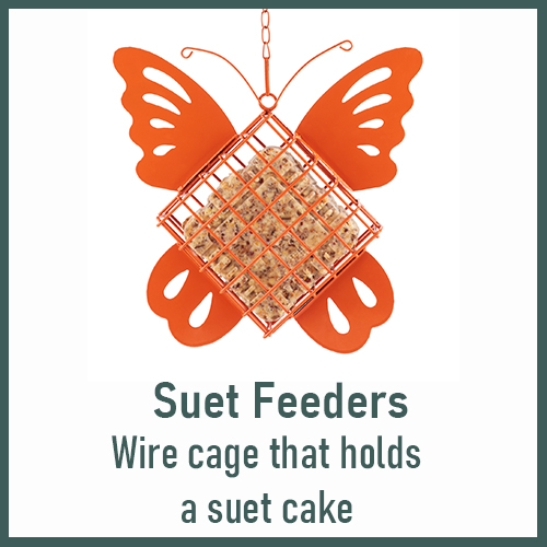 feeder-type-suet.jpg